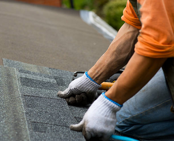 Best Gutter Installation and Roofing  in Bernice, LA